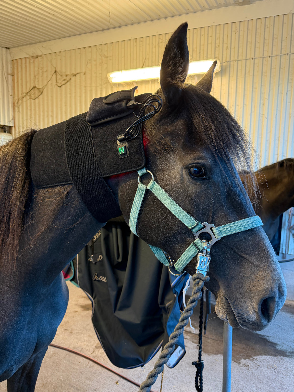 VILUMI Multiplattan 40x40